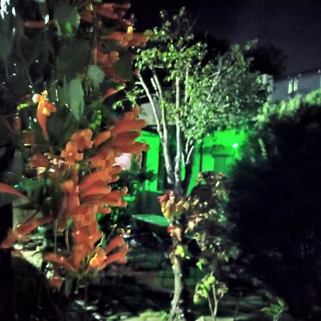 Last Chance Cafe And Guest House Rishīkesh Εξωτερικό φωτογραφία